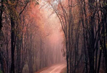 M88:传闻C罗收购瓦伦西亚?世体:球队老板3月份表示不会出售.