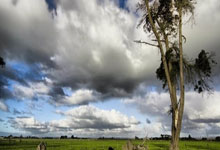 马龙樊振东陈梦退出世界排名 中国乒协矢推动修改争议性规则.