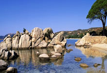 马龙樊振东陈梦退出世界排名 中国乒协矢推动修改争议性规则.